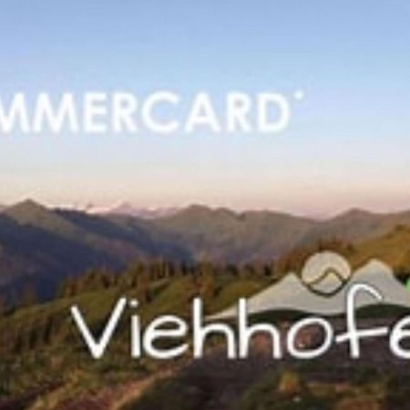 Bichl Viehofen Apartment ซาลบาคฮินเทอร์เกลมม์ ภายนอก รูปภาพ