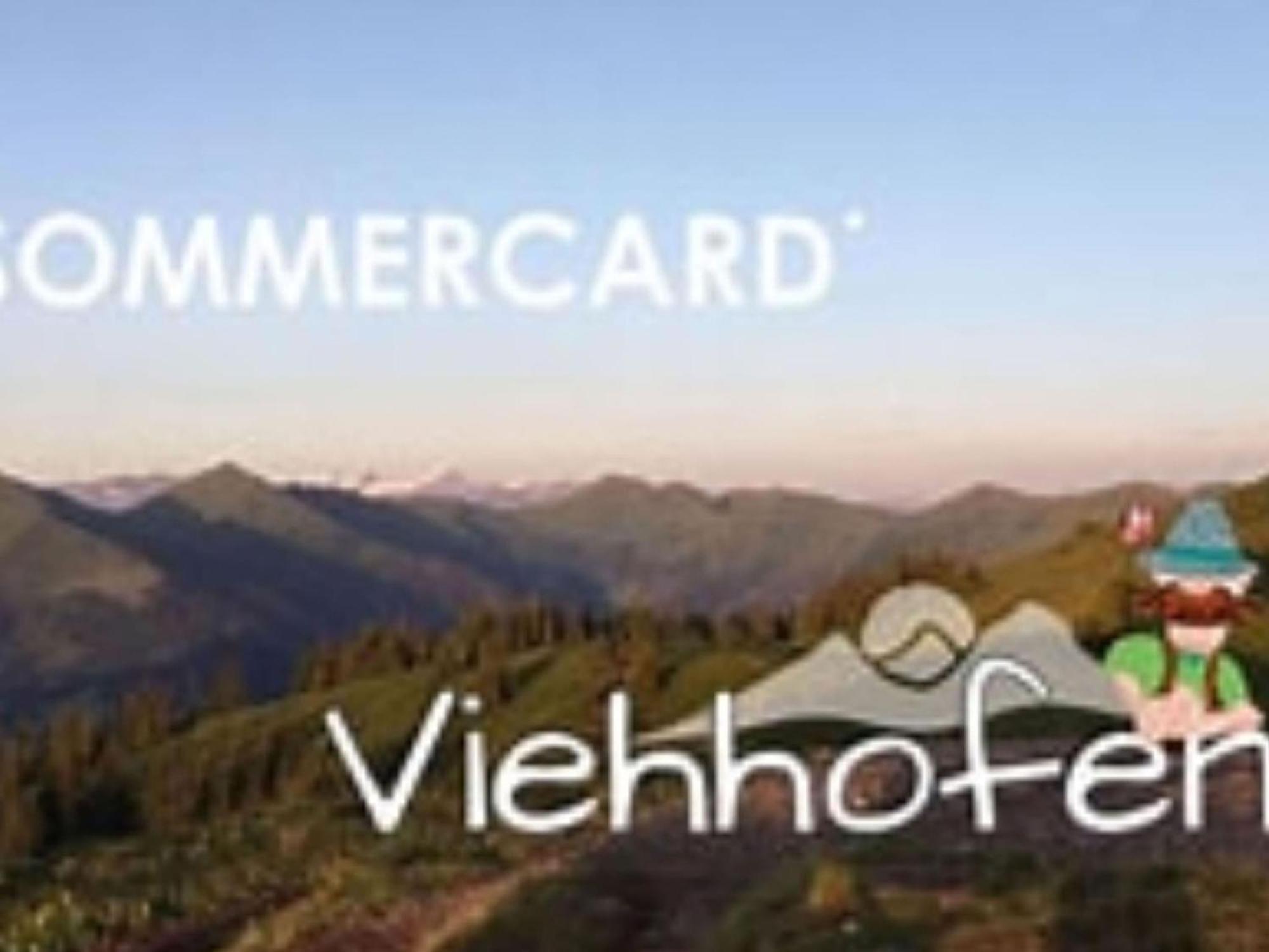 Bichl Viehofen Apartment ซาลบาคฮินเทอร์เกลมม์ ภายนอก รูปภาพ